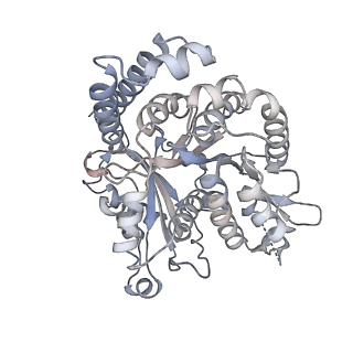 35823_8iyj_NK_v1-0
Cryo-EM structure of the 48-nm repeat doublet microtubule from mouse sperm