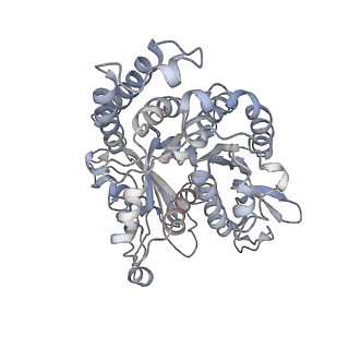 35823_8iyj_NL_v1-0
Cryo-EM structure of the 48-nm repeat doublet microtubule from mouse sperm