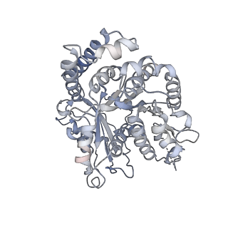 35823_8iyj_NM_v1-0
Cryo-EM structure of the 48-nm repeat doublet microtubule from mouse sperm