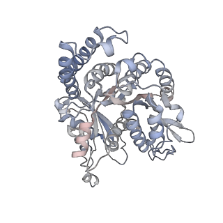35823_8iyj_NN_v1-0
Cryo-EM structure of the 48-nm repeat doublet microtubule from mouse sperm