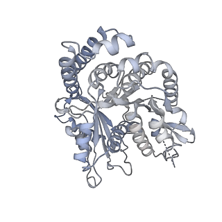 35823_8iyj_NO_v1-0
Cryo-EM structure of the 48-nm repeat doublet microtubule from mouse sperm