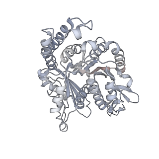 35823_8iyj_NP_v1-0
Cryo-EM structure of the 48-nm repeat doublet microtubule from mouse sperm