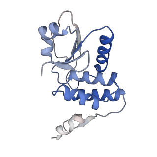 35823_8iyj_O2_v1-0
Cryo-EM structure of the 48-nm repeat doublet microtubule from mouse sperm