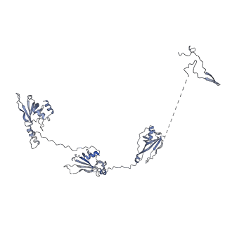 35823_8iyj_O5_v1-0
Cryo-EM structure of the 48-nm repeat doublet microtubule from mouse sperm