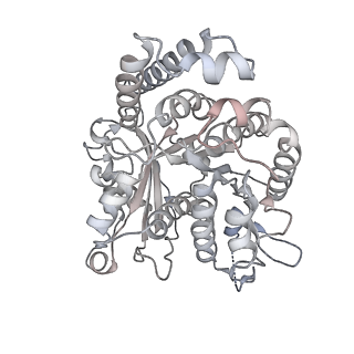 35823_8iyj_OA_v1-0
Cryo-EM structure of the 48-nm repeat doublet microtubule from mouse sperm