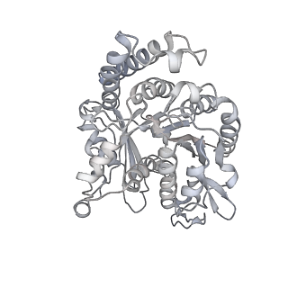 35823_8iyj_OB_v1-0
Cryo-EM structure of the 48-nm repeat doublet microtubule from mouse sperm
