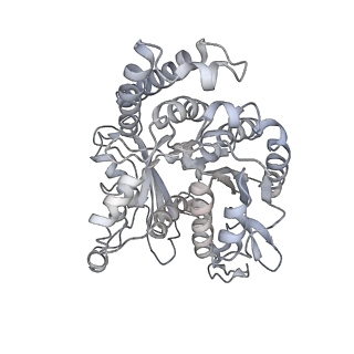 35823_8iyj_OD_v1-0
Cryo-EM structure of the 48-nm repeat doublet microtubule from mouse sperm