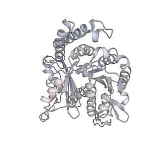 35823_8iyj_OF_v1-0
Cryo-EM structure of the 48-nm repeat doublet microtubule from mouse sperm