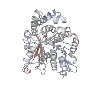 35823_8iyj_OG_v1-0
Cryo-EM structure of the 48-nm repeat doublet microtubule from mouse sperm