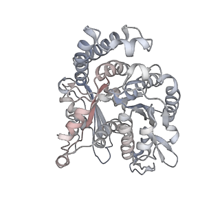 35823_8iyj_OH_v1-0
Cryo-EM structure of the 48-nm repeat doublet microtubule from mouse sperm