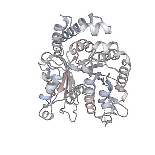 35823_8iyj_OI_v1-0
Cryo-EM structure of the 48-nm repeat doublet microtubule from mouse sperm