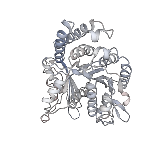 35823_8iyj_OJ_v1-0
Cryo-EM structure of the 48-nm repeat doublet microtubule from mouse sperm