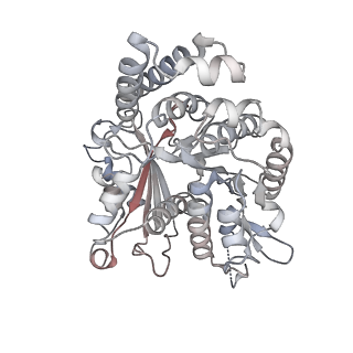 35823_8iyj_OK_v1-0
Cryo-EM structure of the 48-nm repeat doublet microtubule from mouse sperm