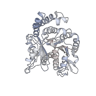 35823_8iyj_ON_v1-0
Cryo-EM structure of the 48-nm repeat doublet microtubule from mouse sperm