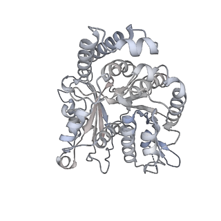 35823_8iyj_OO_v1-0
Cryo-EM structure of the 48-nm repeat doublet microtubule from mouse sperm
