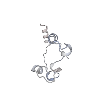 35823_8iyj_P1_v1-0
Cryo-EM structure of the 48-nm repeat doublet microtubule from mouse sperm