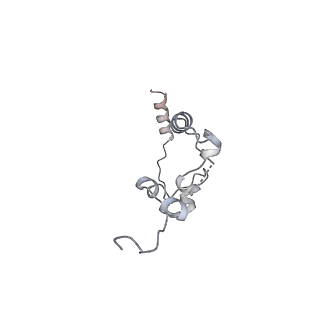35823_8iyj_P2_v1-0
Cryo-EM structure of the 48-nm repeat doublet microtubule from mouse sperm