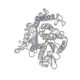 35823_8iyj_PB_v1-0
Cryo-EM structure of the 48-nm repeat doublet microtubule from mouse sperm