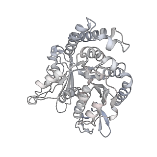 35823_8iyj_PD_v1-0
Cryo-EM structure of the 48-nm repeat doublet microtubule from mouse sperm