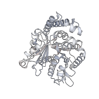 35823_8iyj_PE_v1-0
Cryo-EM structure of the 48-nm repeat doublet microtubule from mouse sperm