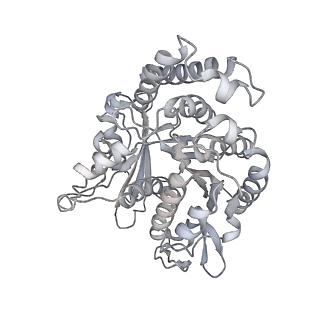 35823_8iyj_PF_v1-0
Cryo-EM structure of the 48-nm repeat doublet microtubule from mouse sperm