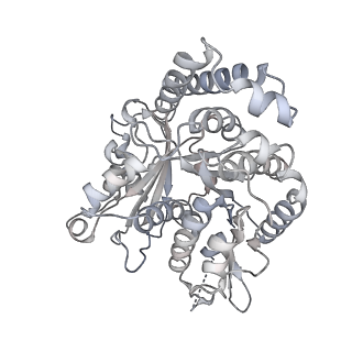 35823_8iyj_PG_v1-0
Cryo-EM structure of the 48-nm repeat doublet microtubule from mouse sperm