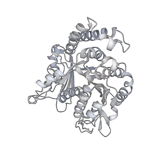 35823_8iyj_PH_v1-0
Cryo-EM structure of the 48-nm repeat doublet microtubule from mouse sperm