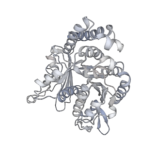 35823_8iyj_PJ_v1-0
Cryo-EM structure of the 48-nm repeat doublet microtubule from mouse sperm