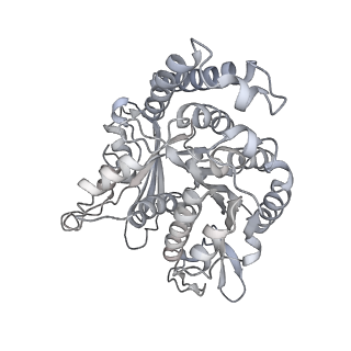 35823_8iyj_PL_v1-0
Cryo-EM structure of the 48-nm repeat doublet microtubule from mouse sperm