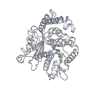 35823_8iyj_PM_v1-0
Cryo-EM structure of the 48-nm repeat doublet microtubule from mouse sperm