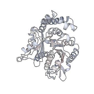 35823_8iyj_PN_v1-0
Cryo-EM structure of the 48-nm repeat doublet microtubule from mouse sperm
