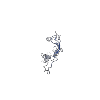 35823_8iyj_Q1_v1-0
Cryo-EM structure of the 48-nm repeat doublet microtubule from mouse sperm