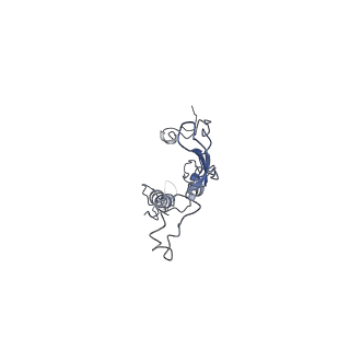 35823_8iyj_Q2_v1-0
Cryo-EM structure of the 48-nm repeat doublet microtubule from mouse sperm