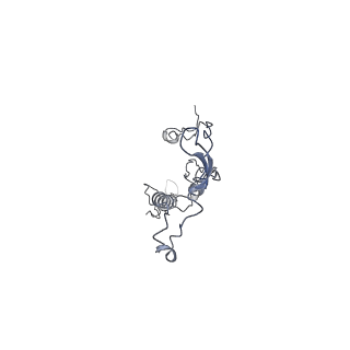 35823_8iyj_Q4_v1-0
Cryo-EM structure of the 48-nm repeat doublet microtubule from mouse sperm
