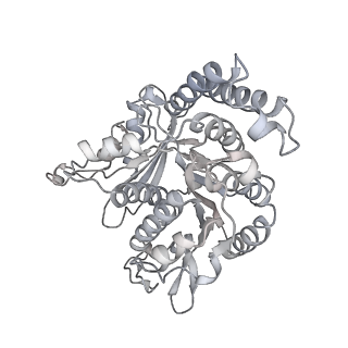 35823_8iyj_QB_v1-0
Cryo-EM structure of the 48-nm repeat doublet microtubule from mouse sperm