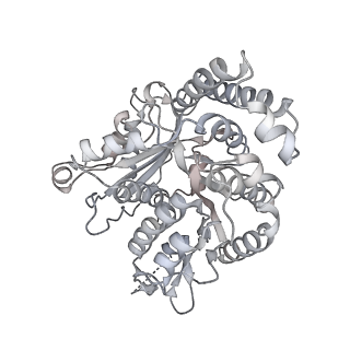 35823_8iyj_QC_v1-0
Cryo-EM structure of the 48-nm repeat doublet microtubule from mouse sperm