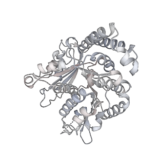 35823_8iyj_QE_v1-0
Cryo-EM structure of the 48-nm repeat doublet microtubule from mouse sperm