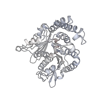 35823_8iyj_QF_v1-0
Cryo-EM structure of the 48-nm repeat doublet microtubule from mouse sperm