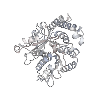 35823_8iyj_QG_v1-0
Cryo-EM structure of the 48-nm repeat doublet microtubule from mouse sperm