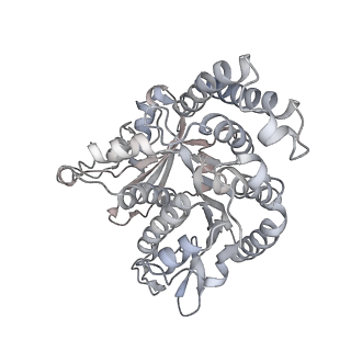 35823_8iyj_QH_v1-0
Cryo-EM structure of the 48-nm repeat doublet microtubule from mouse sperm
