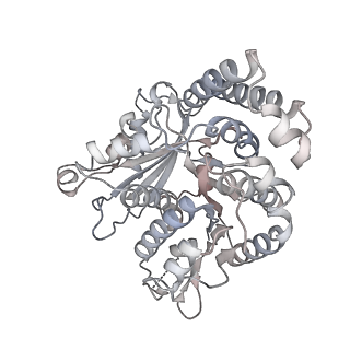 35823_8iyj_QI_v1-0
Cryo-EM structure of the 48-nm repeat doublet microtubule from mouse sperm