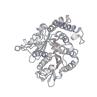 35823_8iyj_QJ_v1-0
Cryo-EM structure of the 48-nm repeat doublet microtubule from mouse sperm
