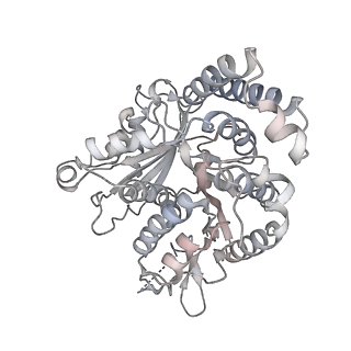 35823_8iyj_QK_v1-0
Cryo-EM structure of the 48-nm repeat doublet microtubule from mouse sperm