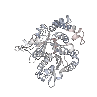 35823_8iyj_QL_v1-0
Cryo-EM structure of the 48-nm repeat doublet microtubule from mouse sperm