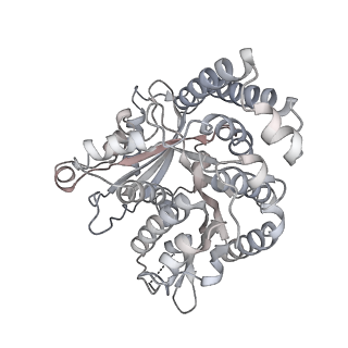 35823_8iyj_QM_v1-0
Cryo-EM structure of the 48-nm repeat doublet microtubule from mouse sperm