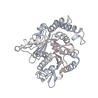 35823_8iyj_QN_v1-0
Cryo-EM structure of the 48-nm repeat doublet microtubule from mouse sperm