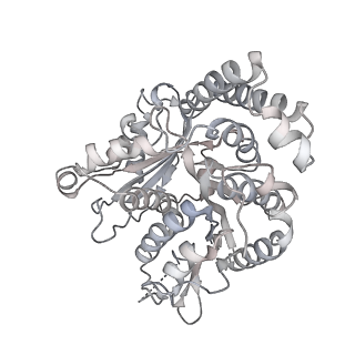 35823_8iyj_QO_v1-0
Cryo-EM structure of the 48-nm repeat doublet microtubule from mouse sperm