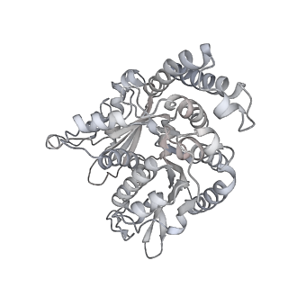 35823_8iyj_QP_v1-0
Cryo-EM structure of the 48-nm repeat doublet microtubule from mouse sperm