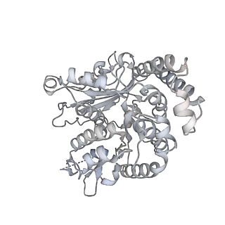 35823_8iyj_RC_v1-0
Cryo-EM structure of the 48-nm repeat doublet microtubule from mouse sperm