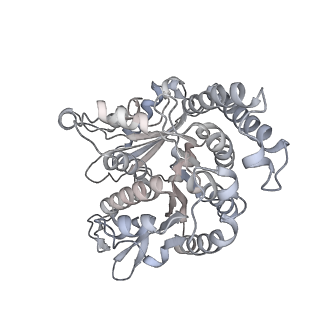 35823_8iyj_RD_v1-0
Cryo-EM structure of the 48-nm repeat doublet microtubule from mouse sperm
